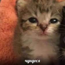 Олечька