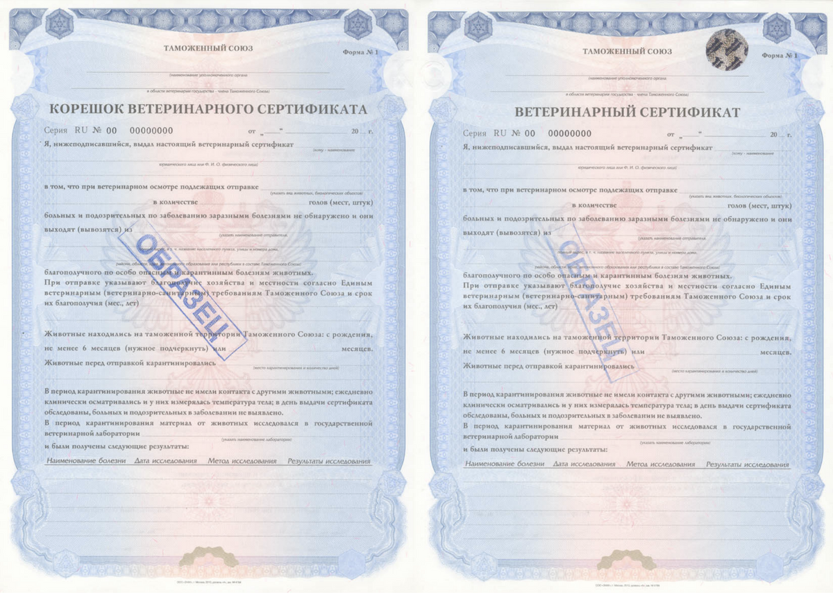 Образец ветеринарного сертификата Таможенного союза по форме 1. Источник: fsvps.gov.ru