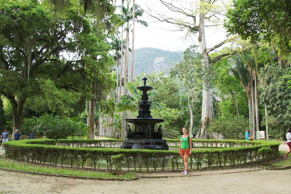 Аллея пальм в ботаническом саду в Рио