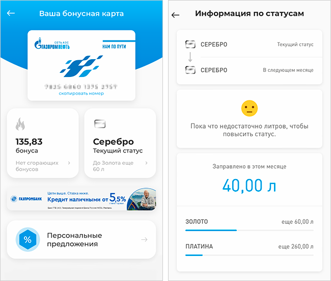 Главная страница приложения АЗС ГПН для Ай-ос, а также экран статуса в программе лояльности