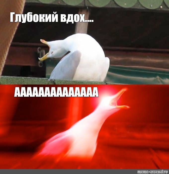 Изображение пользователя Riddler