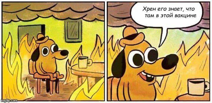 Изображение пользователя БоДжек Хорсмен
