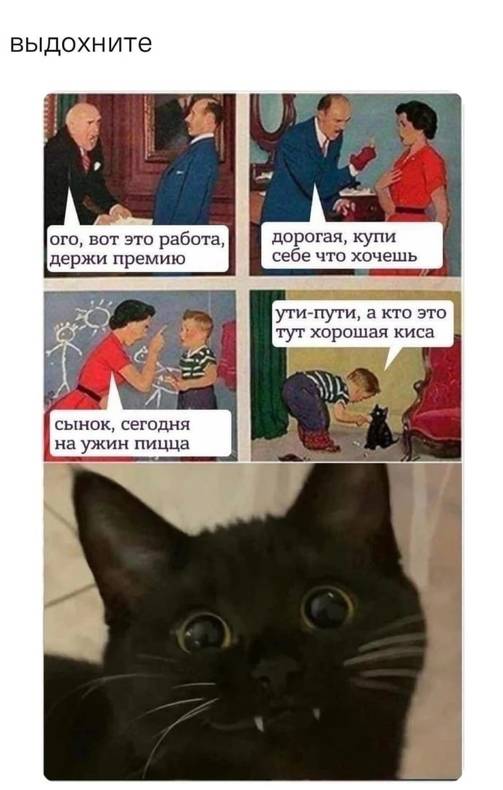 Изображение пользователя Елена Люцерна