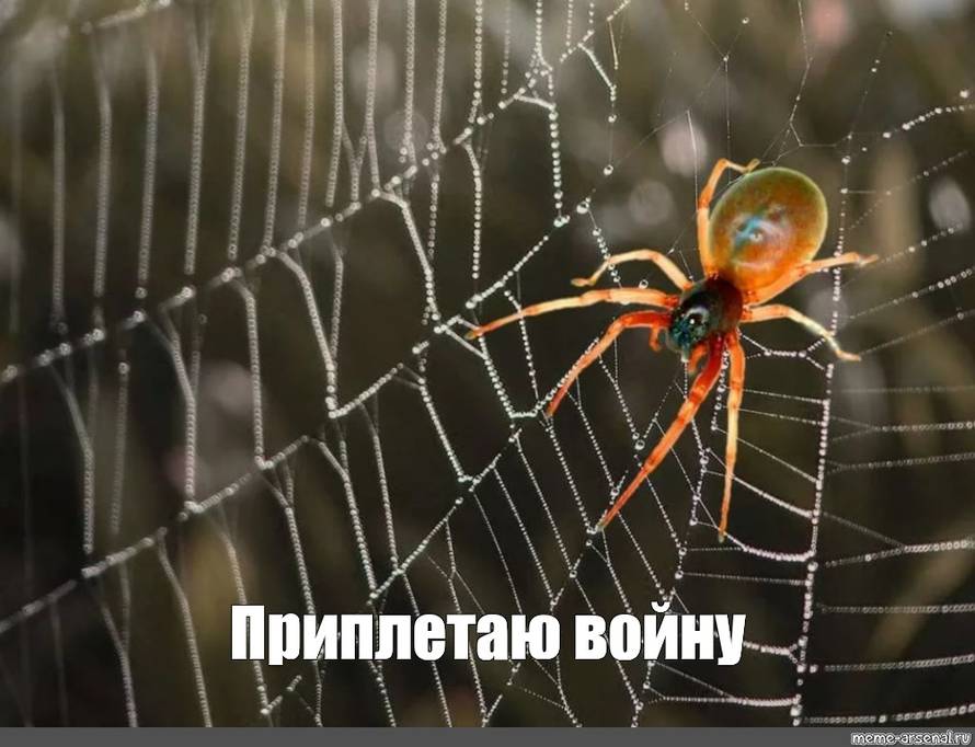 Изображение пользователя Meiv