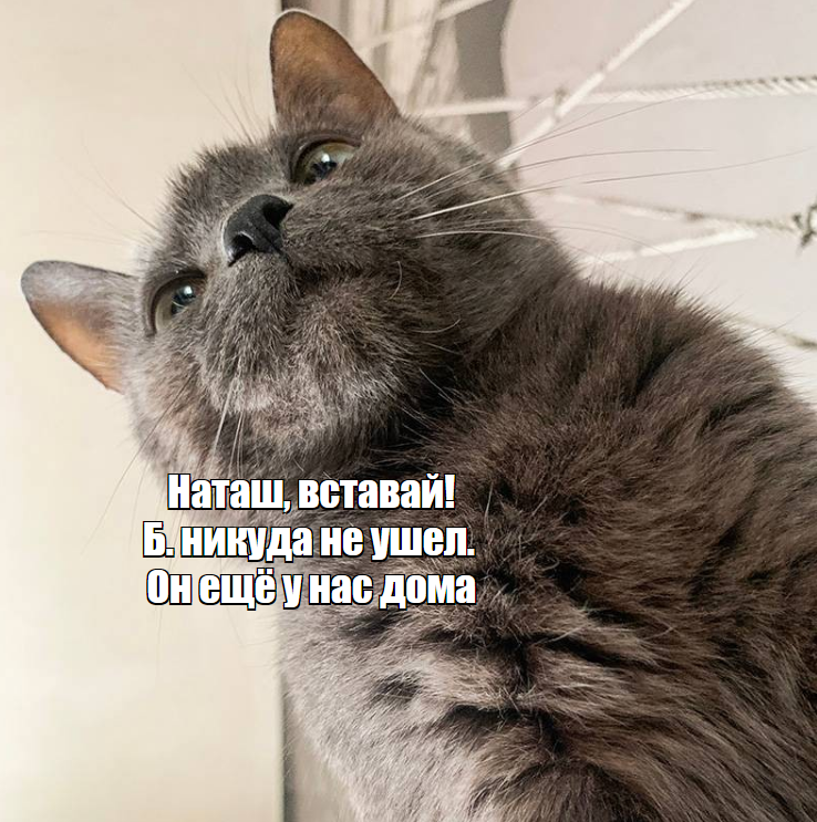 Изображение пользователя Евгений Кулаков
