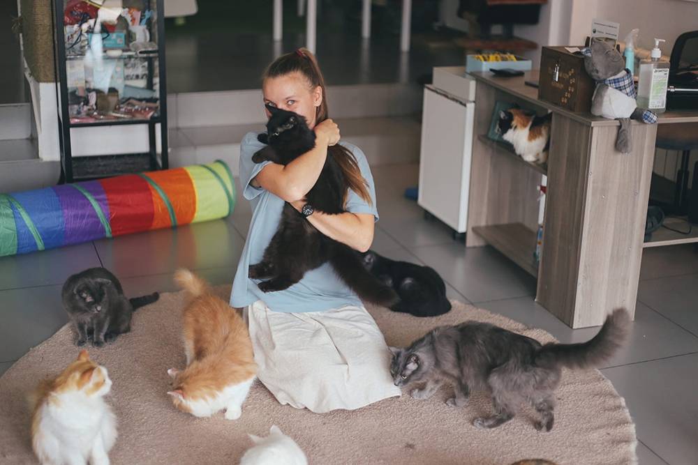 Таисия проработала администратором 4 года, была настоящей котомамой и забрала домой одного кота