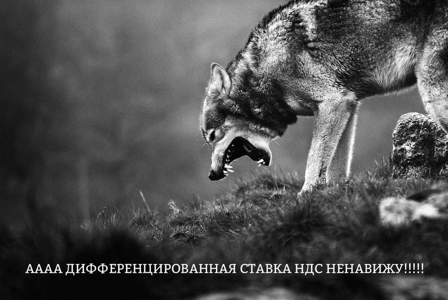 Изображение пользователя Алина Асадова