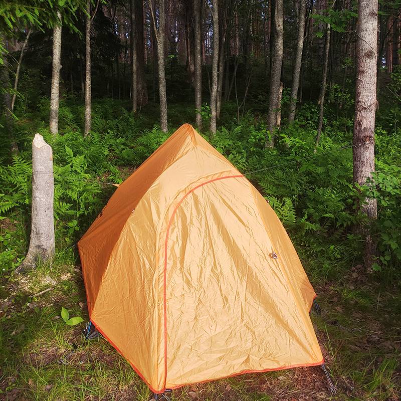 Моя палатка в хтоничном лесу на реке Салми