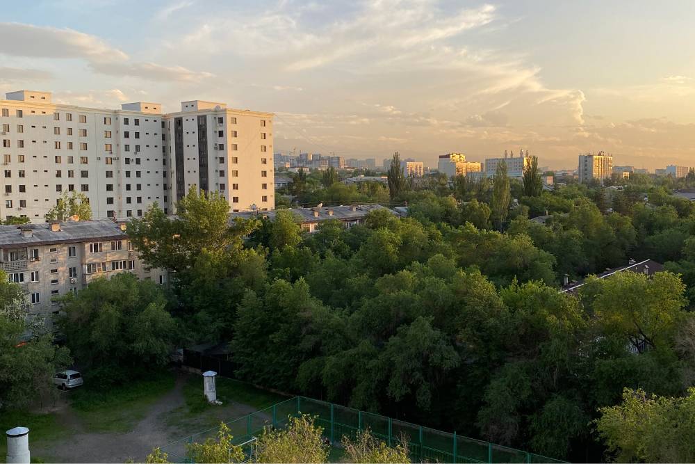 За деревьями не видно домов