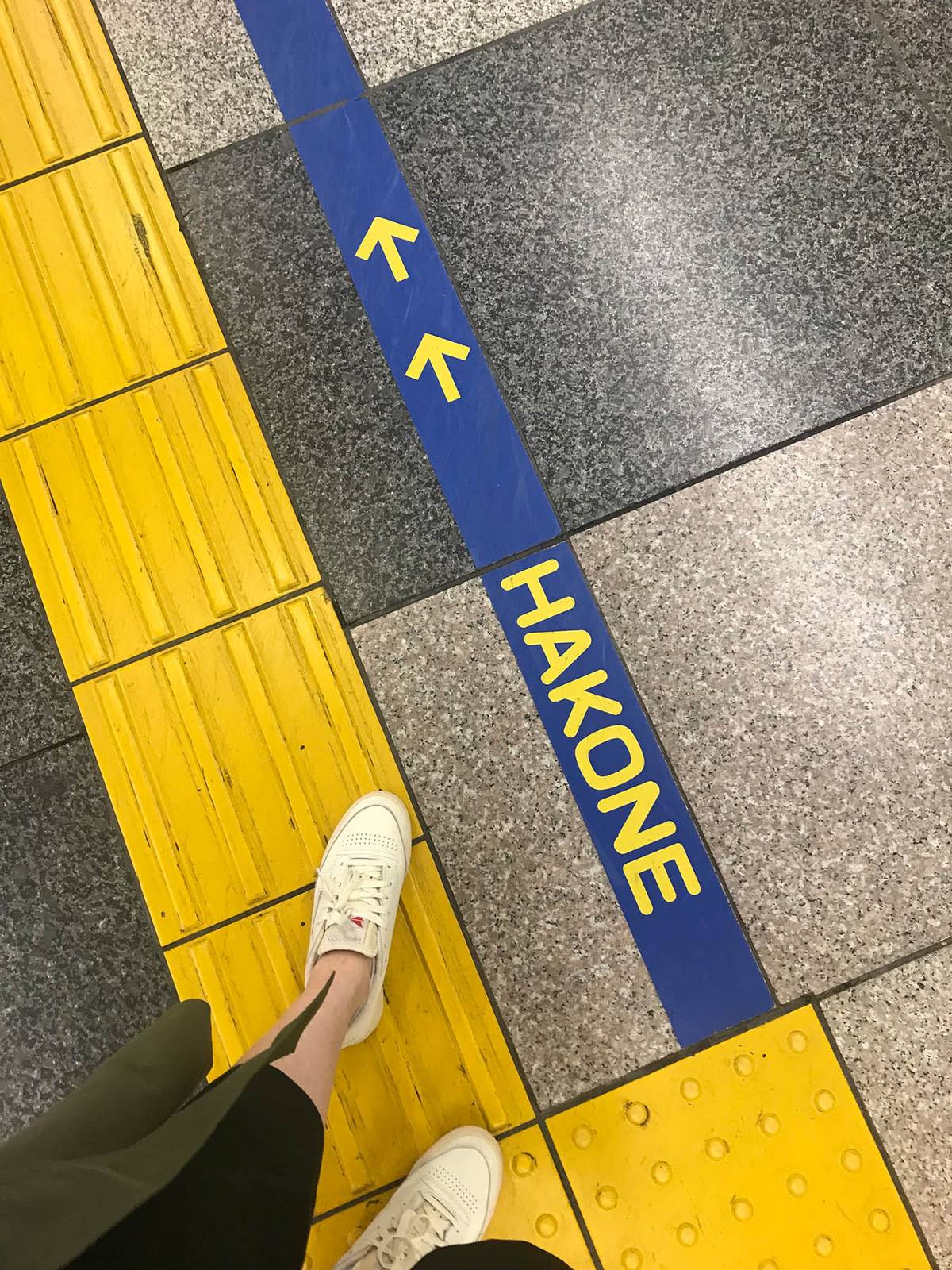 Синяя линия на станции указывает, куда идти туристу, который приехал в Хаконе