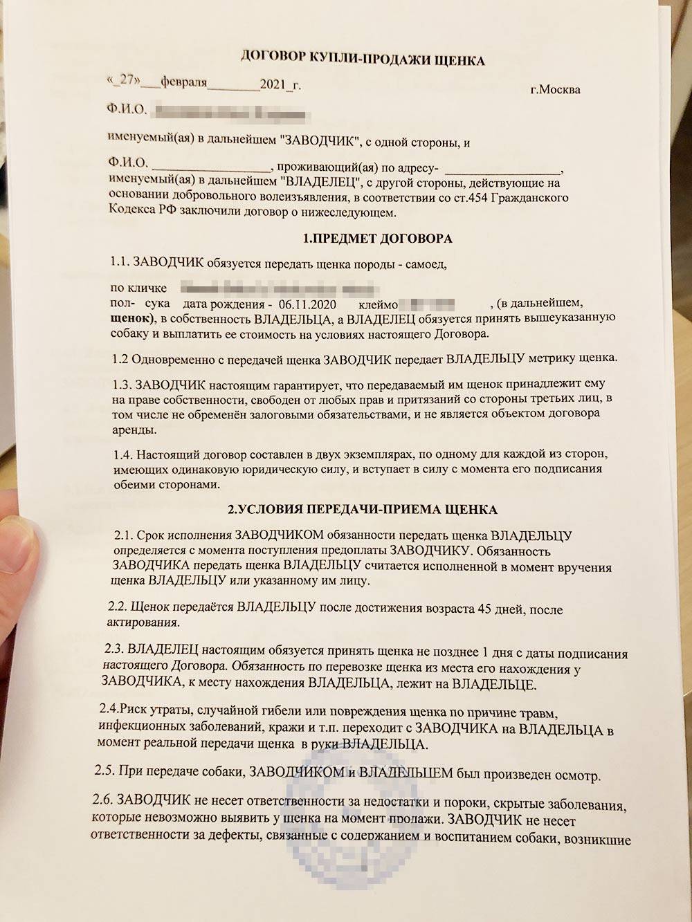 Есть ли такая порода собаки самоед