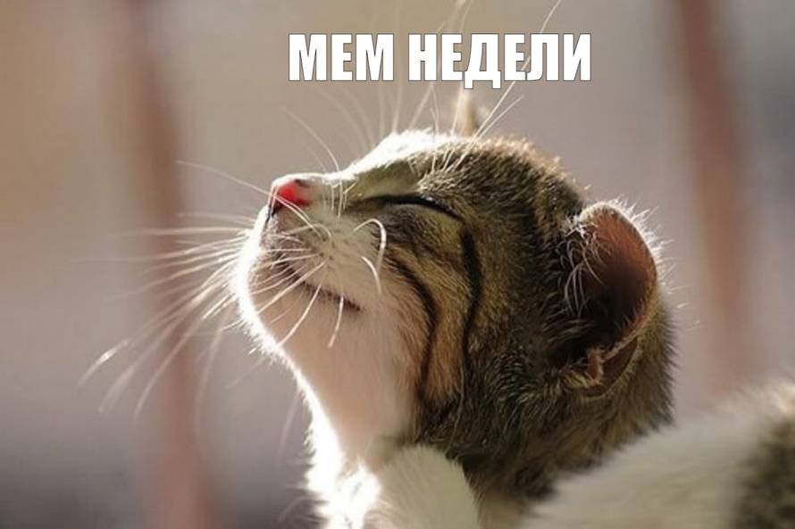 Изображение пользователя Creep