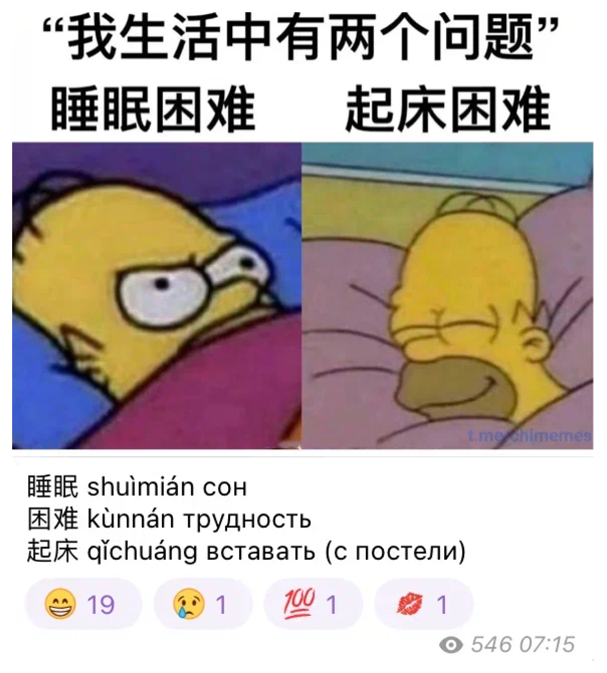 Один из мемов, выложенных на канале. Подпись на картинке переводится как «у меня в жизни две проблемы: как заснуть и как встать с кровати»