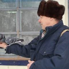 Сергей Васильев