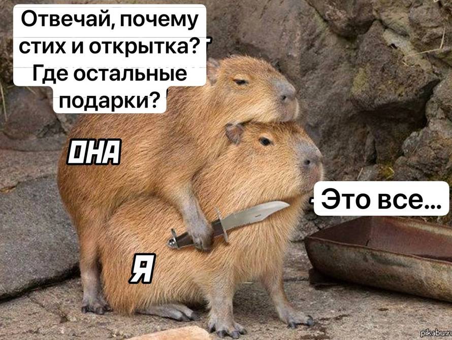 Изображение пользователя Мушу