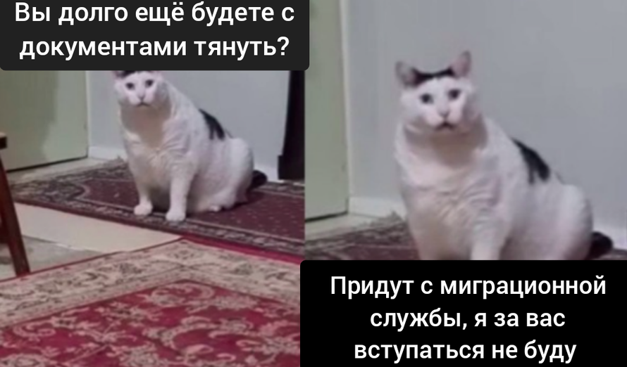 Изображение пользователя Винсент