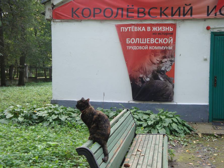 Изображение пользователя Саша Уткина