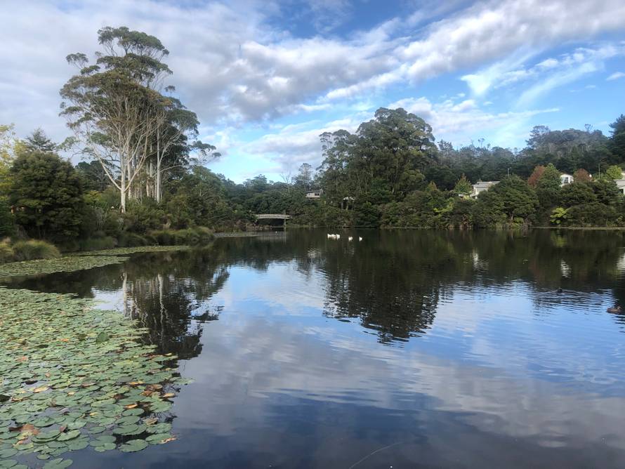 Регулярные физические нагрузки