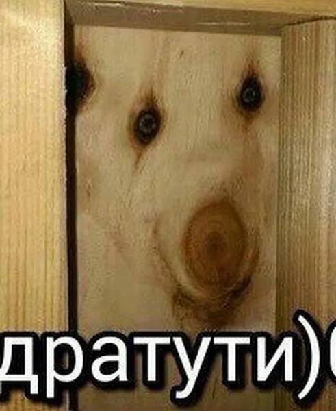 Дмитрий Беляев