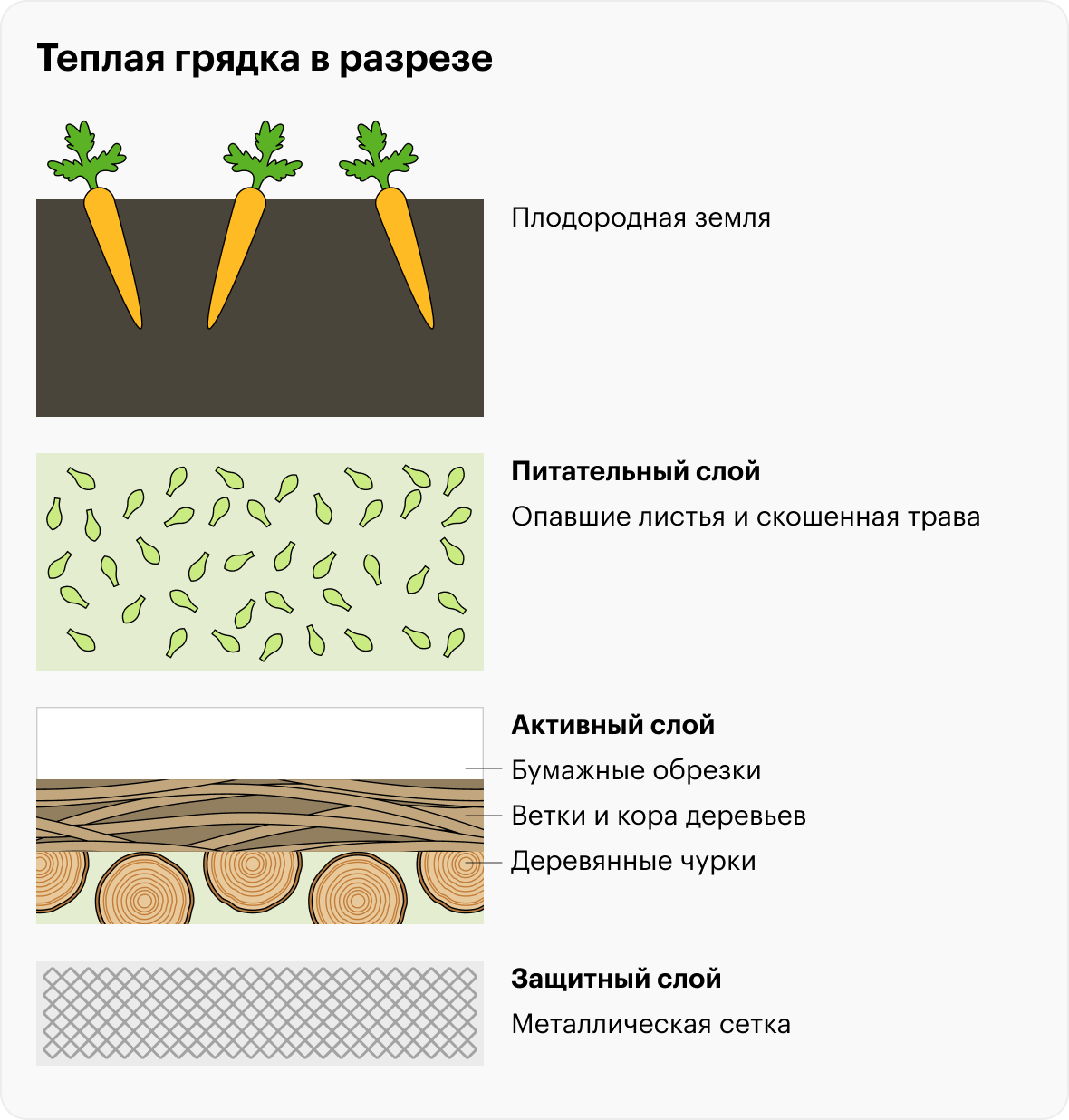 Устройство грядок в деревянном коробе