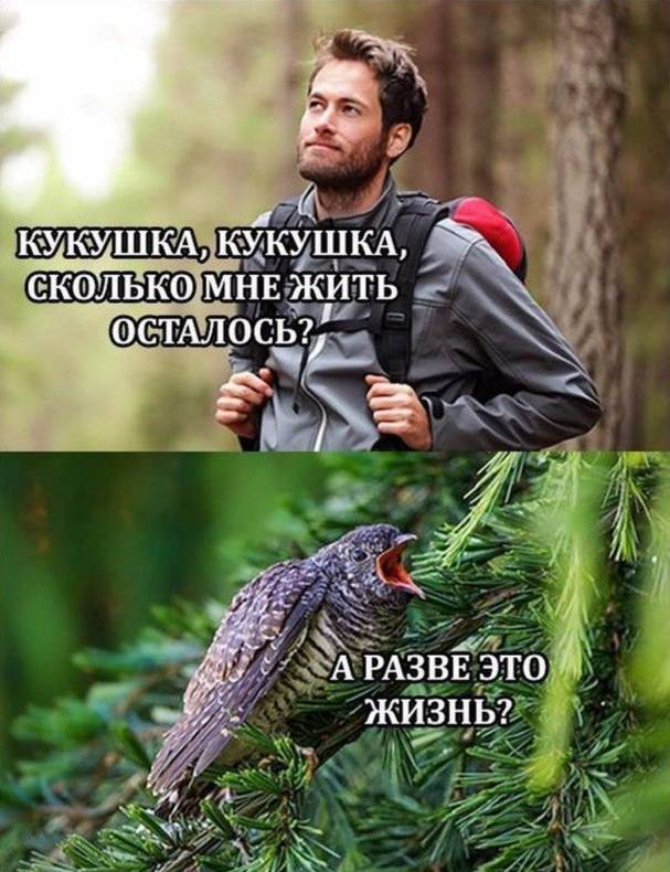 Изображение пользователя Рауф