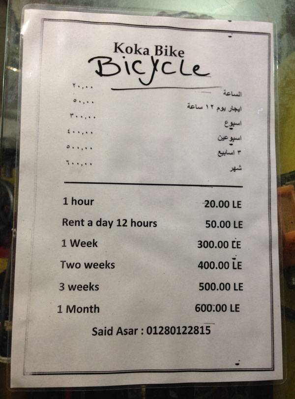 Арендовать велосипед кросс-кантри с переключением скоростей можно за 600 фунтов (2100 <span class=ruble>Р</span>) в месяц