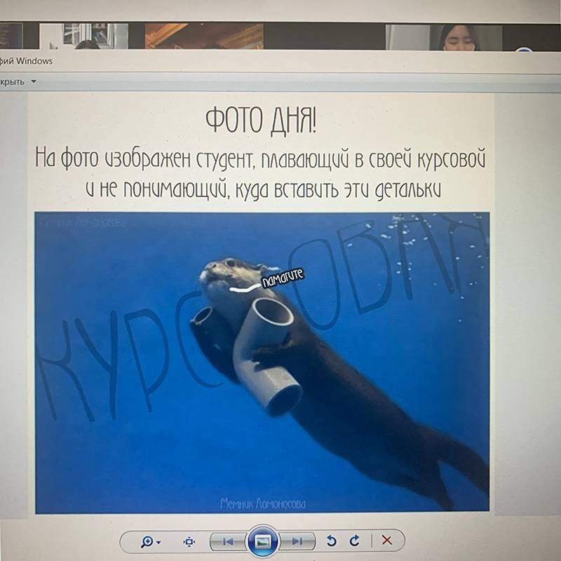 Преподаватель скинул мем в чат