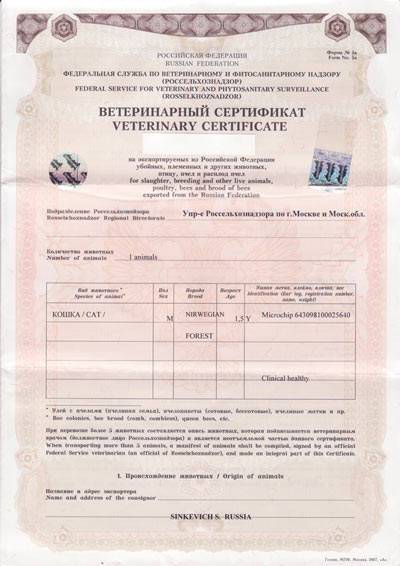 Международный сертификат формы&nbsp;5А