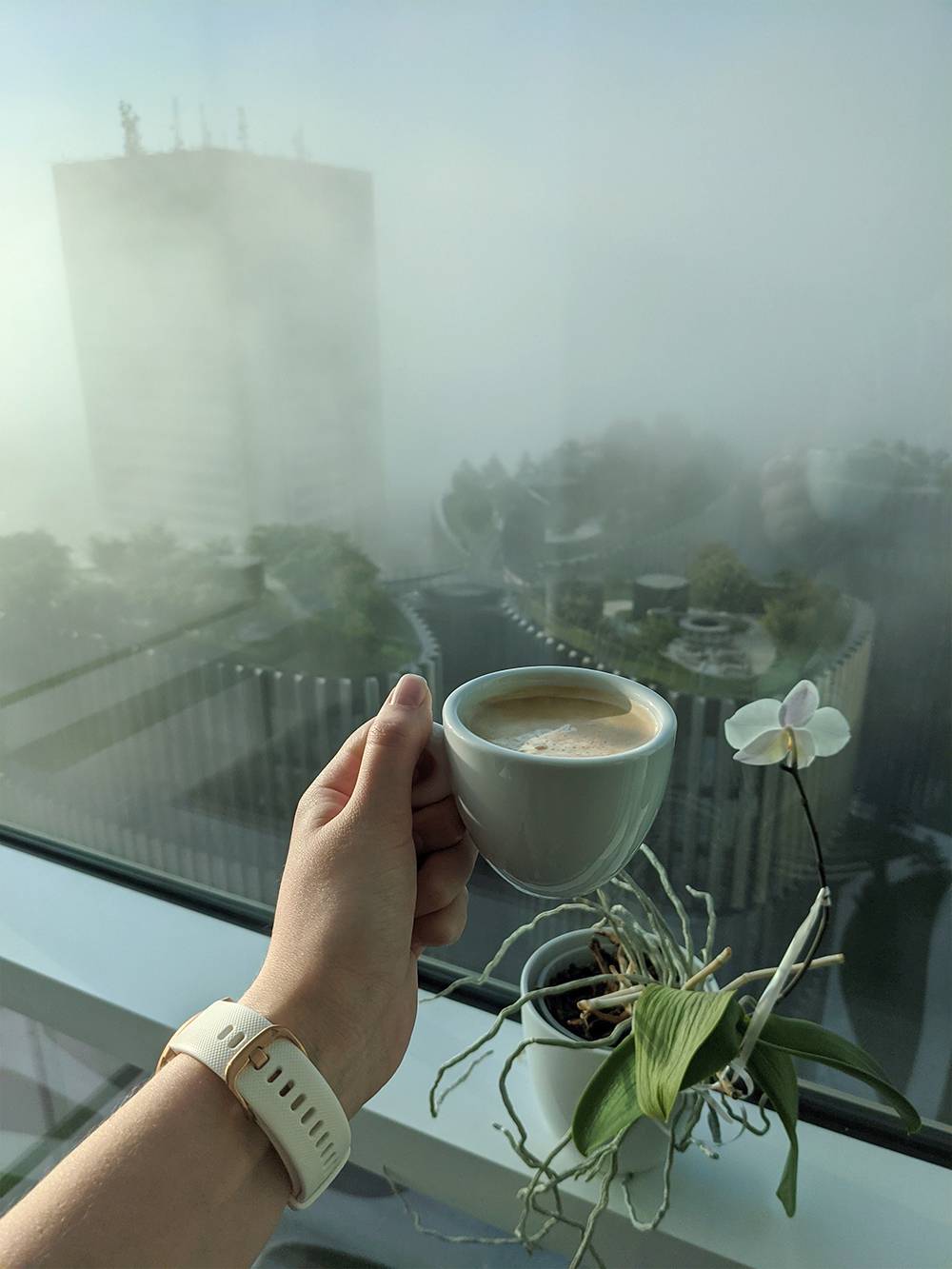 Утренний кофе в офисе с видом на восход солнца с 15-го этажа