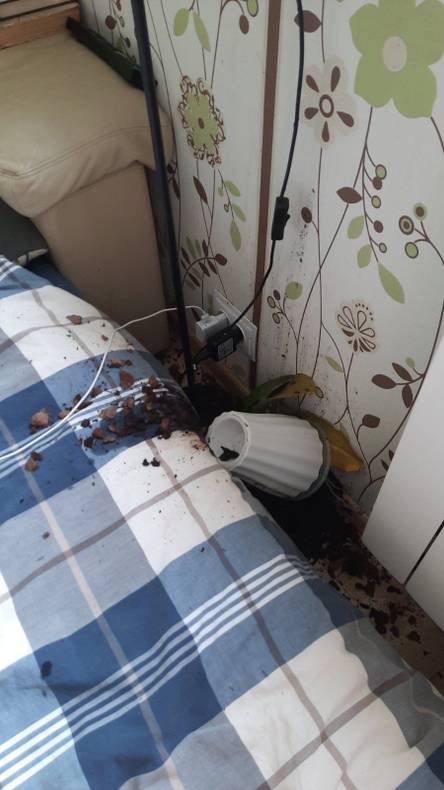 Изображение пользователя Лара Воронцова
