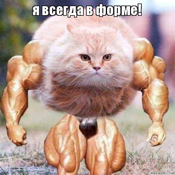 Изображение пользователя Ляга Квам