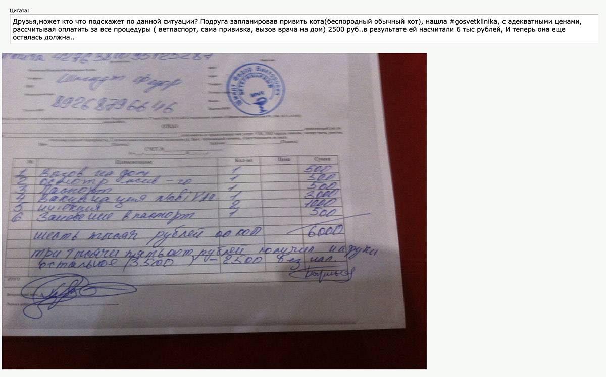 Деньги берут даже за запись в ветеринарный паспорт