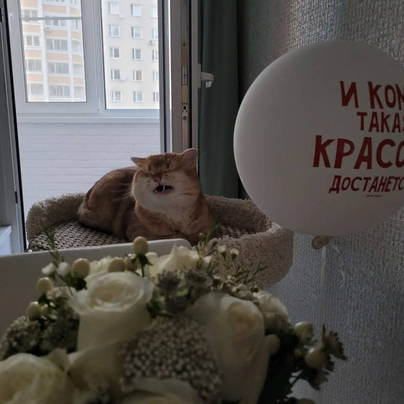 Изображение пользователя Снег