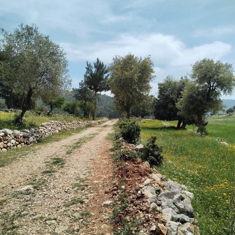 Временами было очень похоже на Италию