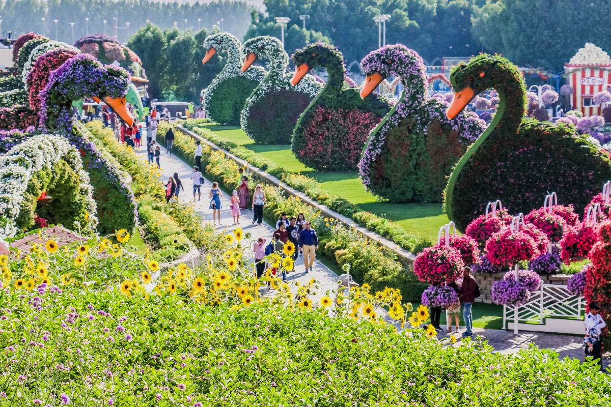 Лебеди из цветов в «Саду чудес». Фото:&nbsp;Abrar Sharif&nbsp;/&nbsp;Shutterstock