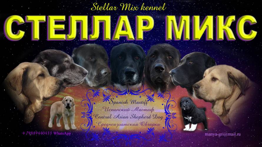 Изображение пользователя Марианна