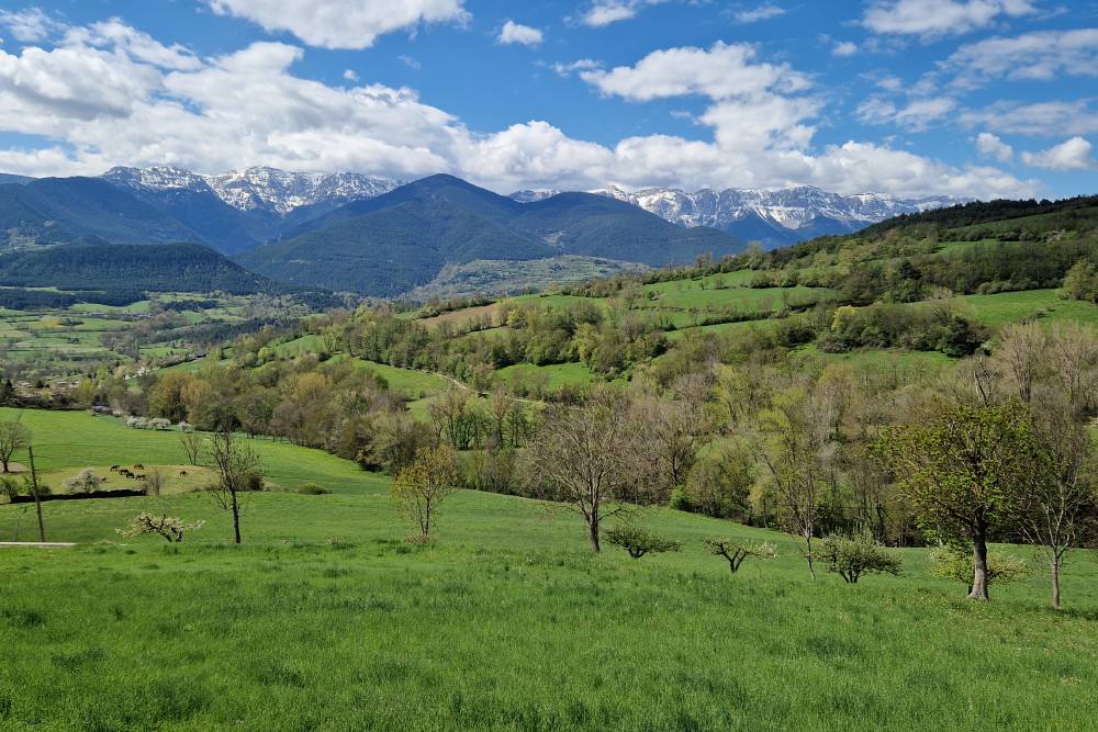 А это Сердания в мае