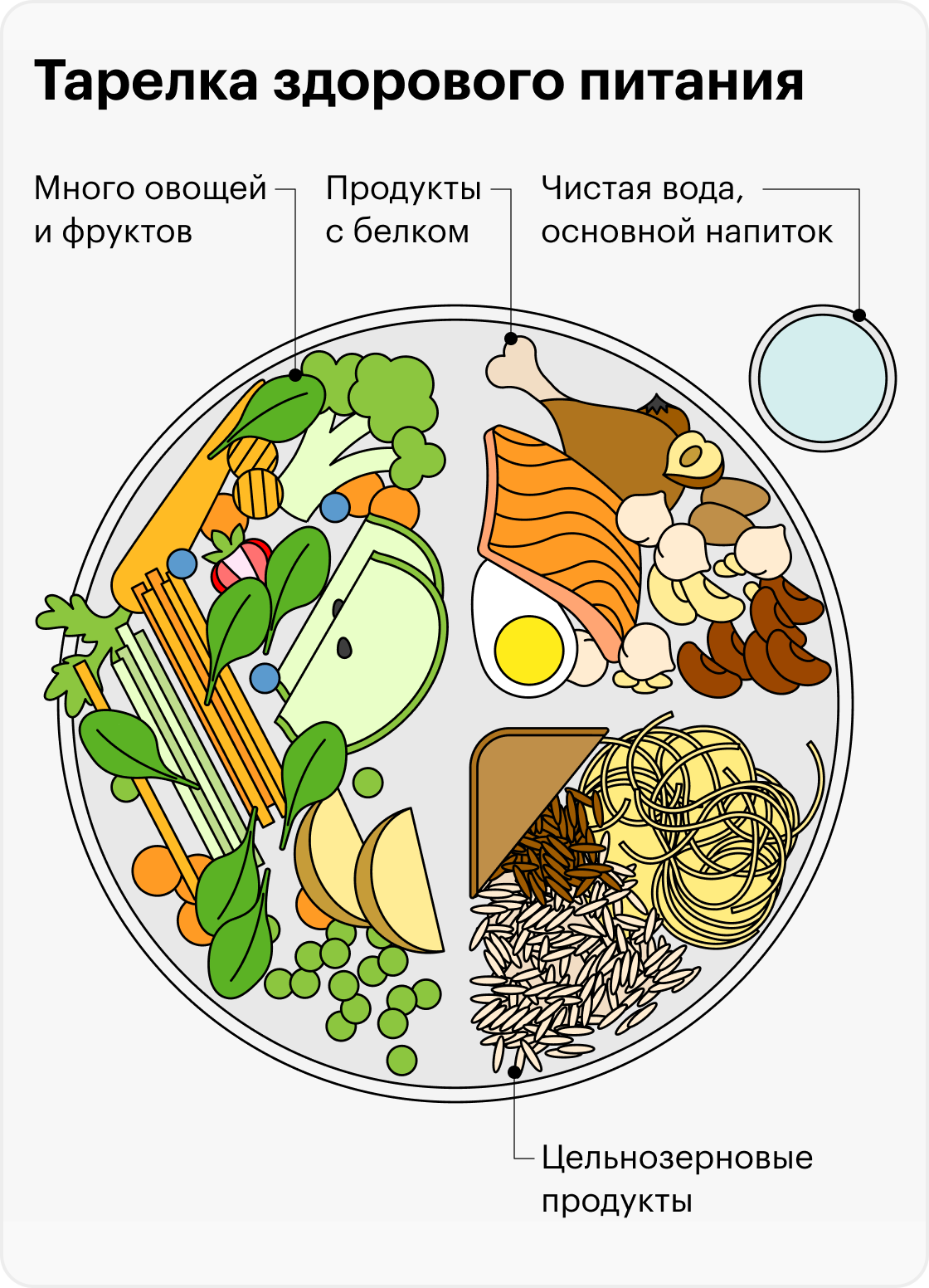 Правильная тарелка питания схема