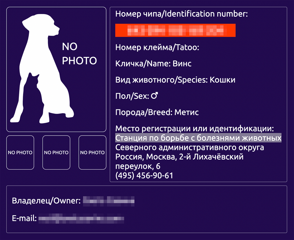 Если кот потеряется, те, кто его найдет, смогут связаться с клиникой, которая сообщит контакты владельца. Источник:&nbsp;new.animal-id.ru
