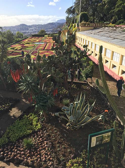 В ботаническом саду рядом с парком «Монте» из цветов выложены огромные клумбы, напоминающие ковры. Вход в сад стоит 6 €