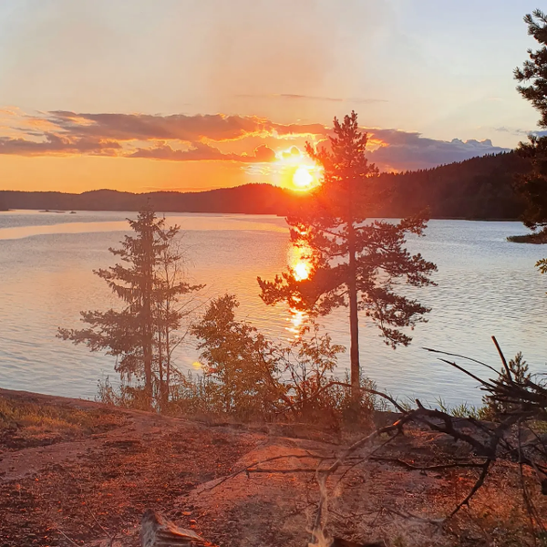 Тимур Жамалов