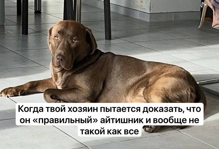 Изображение пользователя Мушу