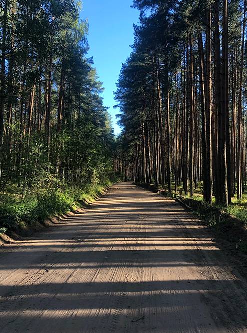 Дорога через Монахов лес после выезда из Твери