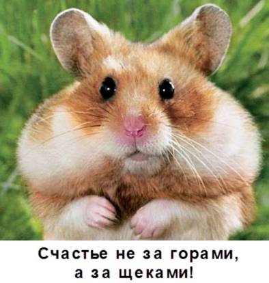 Изображение пользователя Николай