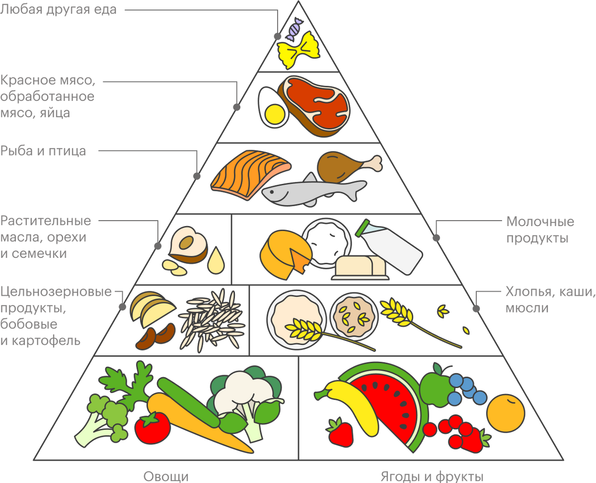 Пирамида средиземноморской диеты — на нее можно ориентироваться, выбирая, какие продукты добавить в рацион или убрать из него