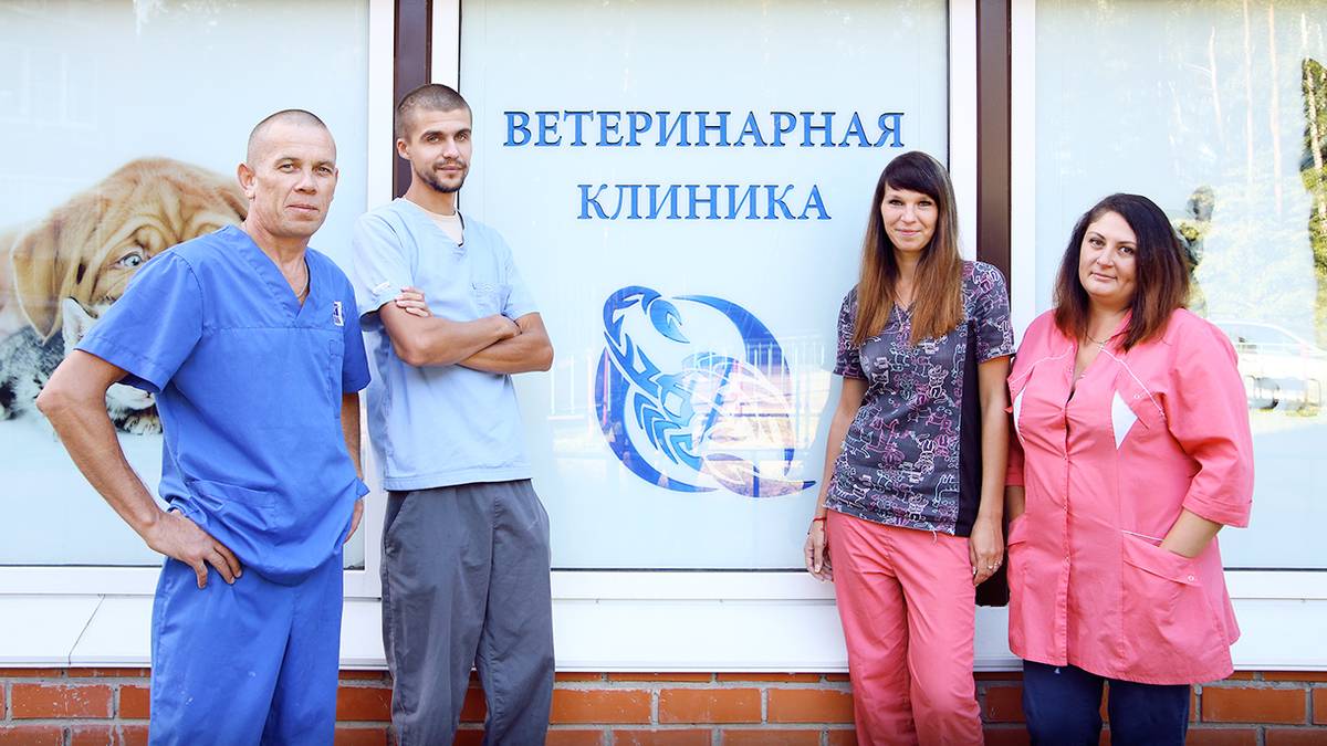Бизнес: ветеринарная клиника в Подмосковье