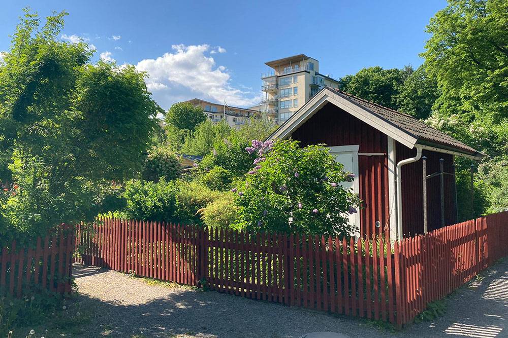 Такие летние домики расположены в нескольких районах Стокгольма — в том числе центральных. Здесь у людей маленькие участки, где они выращивают цветы, овощи или фрукты. Микросадоводство в центре города