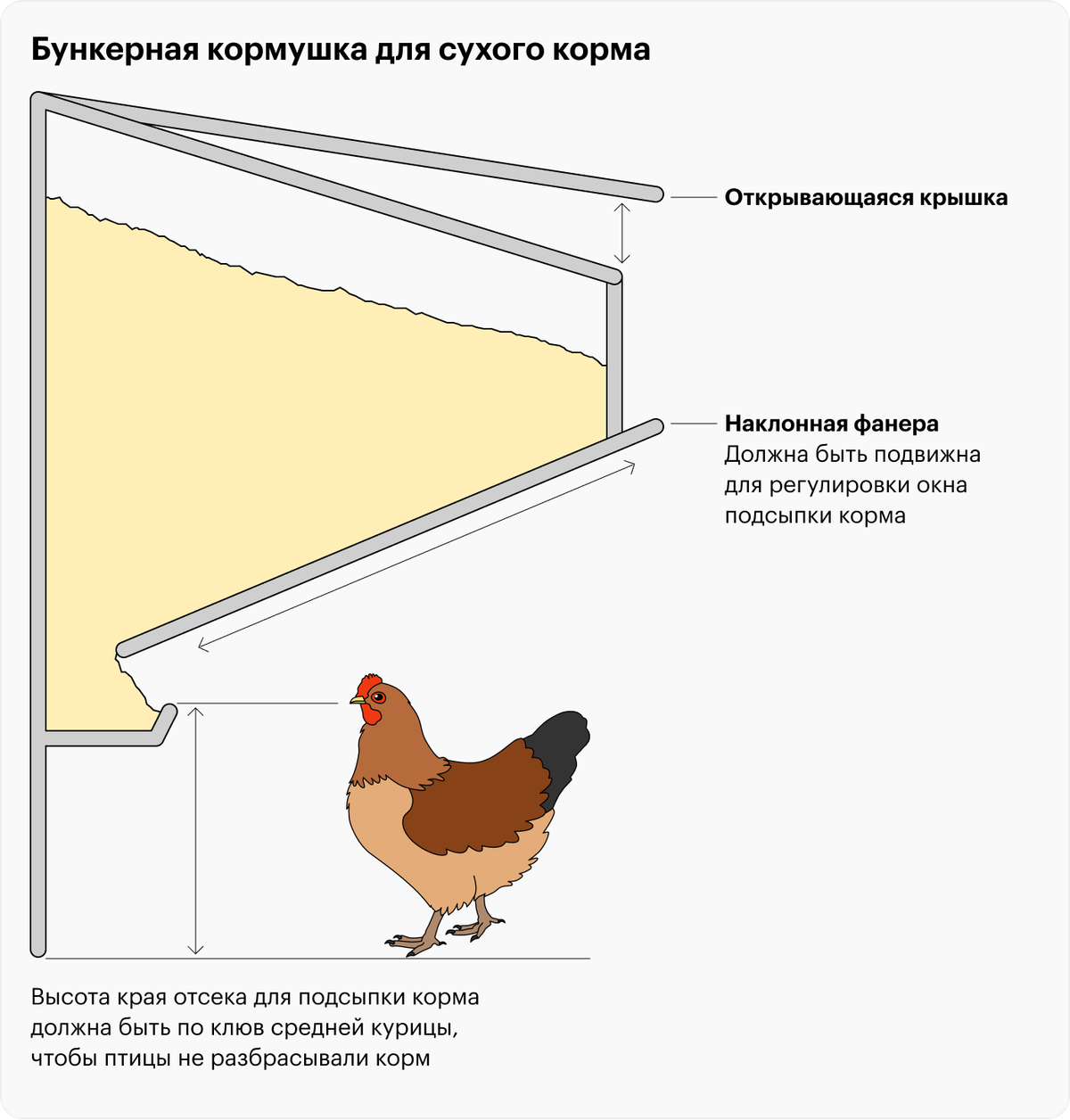 Курятник своими руками на улице гулять