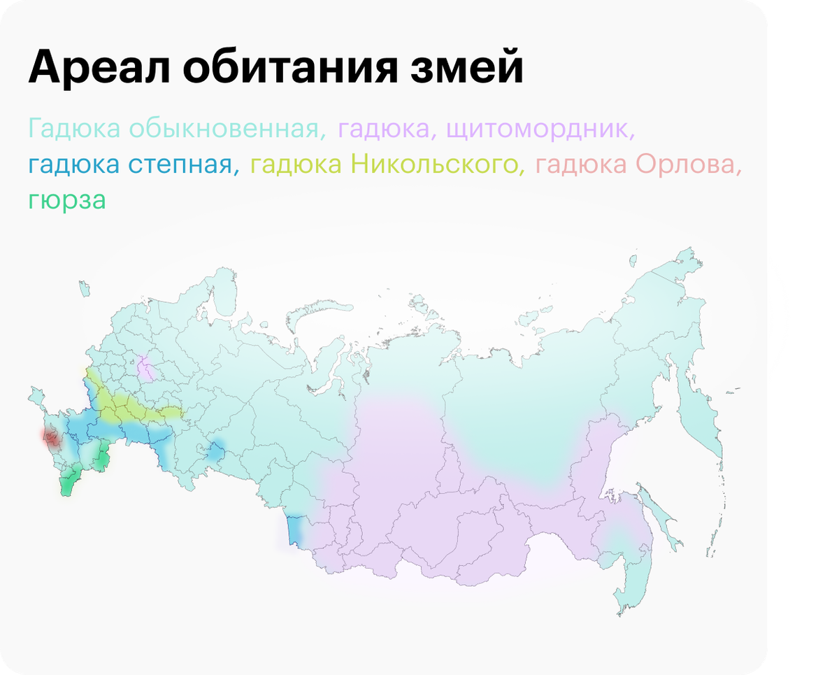 Гадюки живут не только в средней полосе, в России они встречаются чаще всего