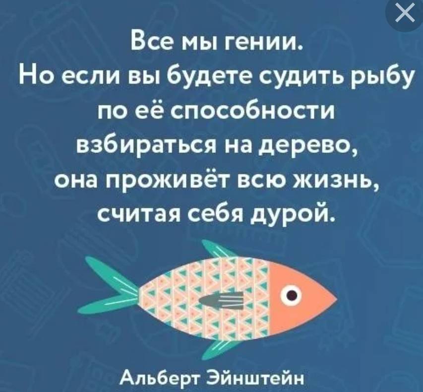 Рыба эйнштейн. Если судить рыбу по ее способности. Если вы будете судить рыбу по её способности. Если вы будете судить рыбу по её способности взбираться на дерево. Рыба высказывания.